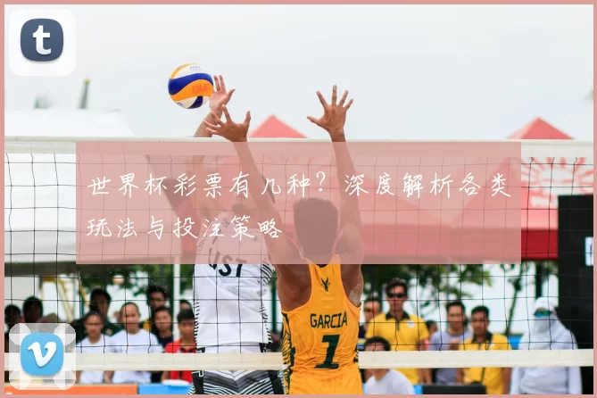 世界杯彩票有几种？深度解析各类玩法与投注策略