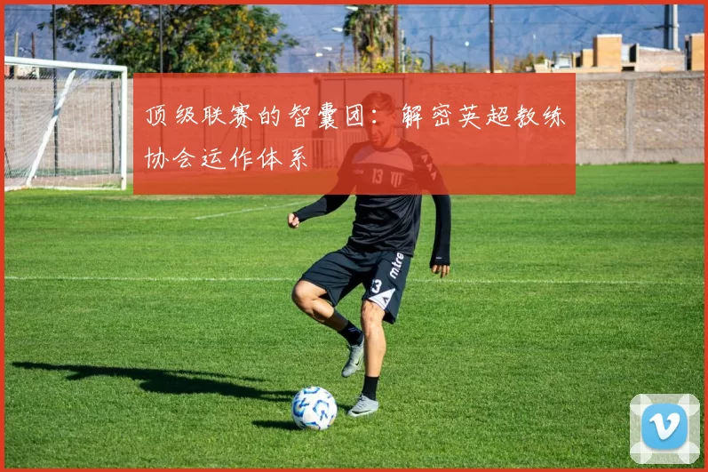 顶级联赛的智囊团：解密英超教练协会运作体系