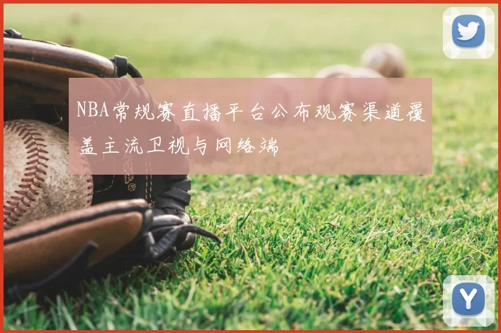 NBA常规赛直播平台公布观赛渠道覆盖主流卫视与网络端