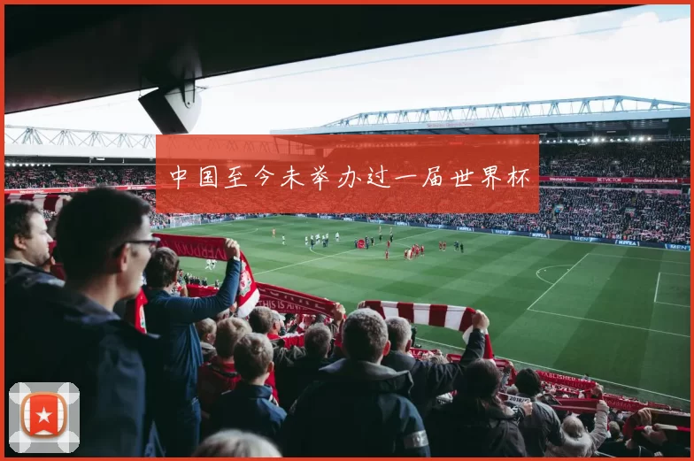 中国至今未举办过一届世界杯