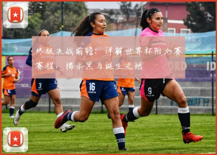 终极决战前瞻：详解世界杯附加赛赛程，揭示黑马诞生之地