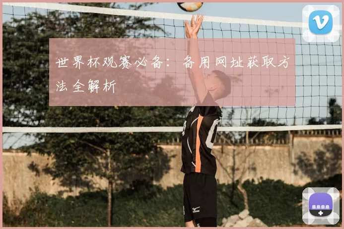 世界杯观赛必备:备用网址获取方法全解析