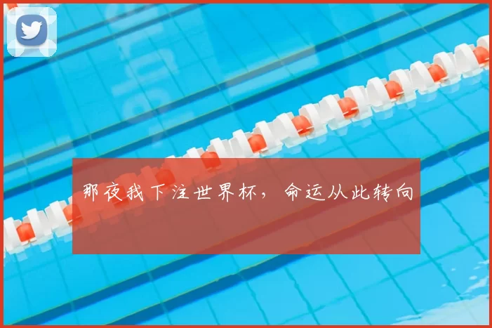 那夜我下注世界杯,命运从此转向
