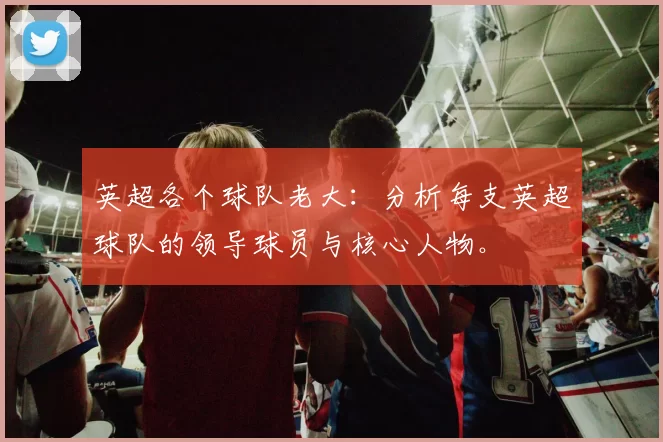英超各个球队老大：分析每支英超球队的领导球员与核心人物。