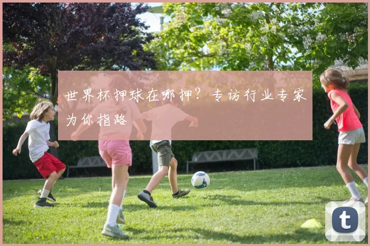 世界杯押球在哪押?专访行业专家为你指路