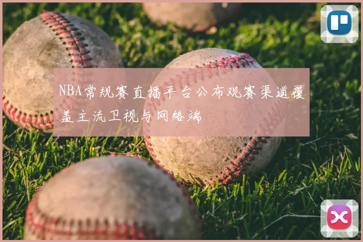 NBA常规赛直播平台公布观赛渠道覆盖主流卫视与网络端