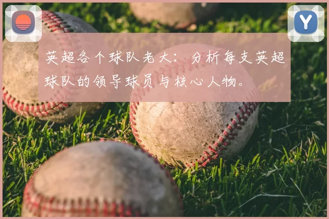 英超各个球队老大：分析每支英超球队的领导球员与核心人物。