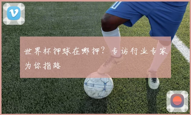 世界杯押球在哪押？专访行业专家为你指路