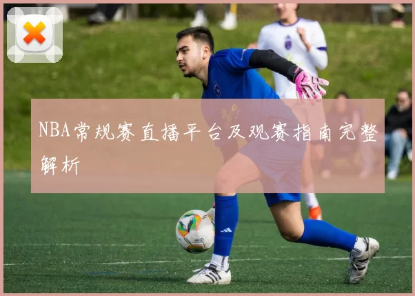 NBA常规赛直播平台及观赛指南完整解析