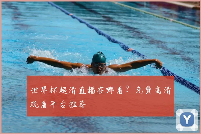 世界杯超清直播在哪看？免费高清观看平台推荐
